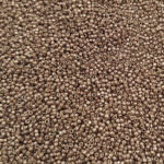 TOHO Round Seed Beads 15/0, Galvanized Mauve, TR-15-556