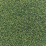 TOHO Round Seed Beads 11/0 Gold-Lustered Fern Green TR-11-333