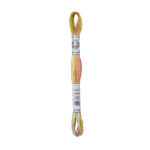 Мулине DMC Coloris 517-4508 многоцветная хлопковая нить для вышивания (ДМС Колорис)