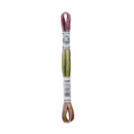 Мулине DMC Coloris 517-4509 многоцветная хлопковая нить для вышивания (ДМС Колорис)